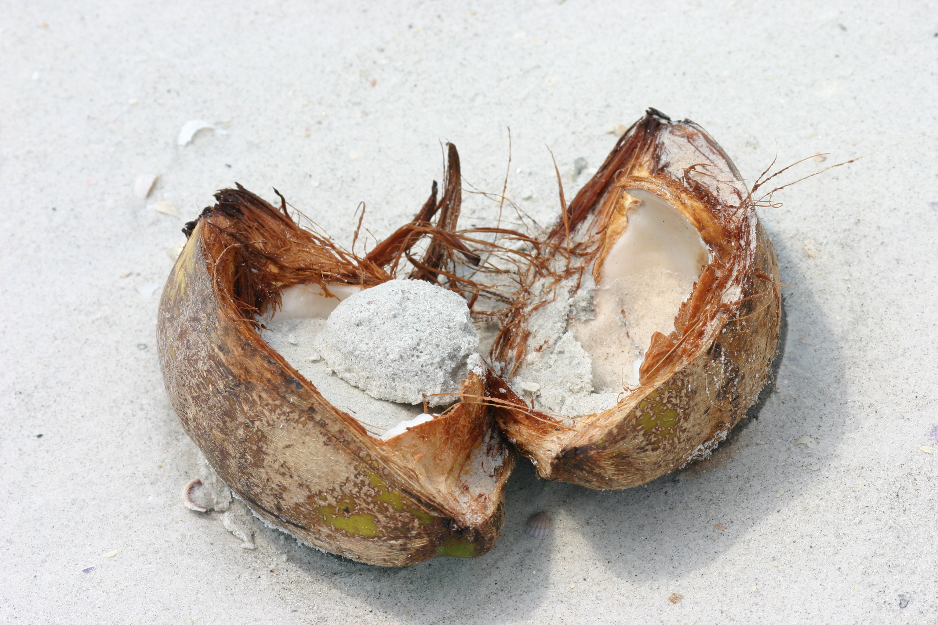 Cracked Coconut